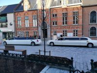 twee-limousines-huwelijk-voor-gemeentehuis